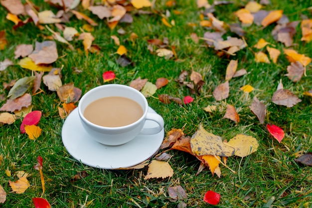 Cup of coffee on a green meadow with leaves