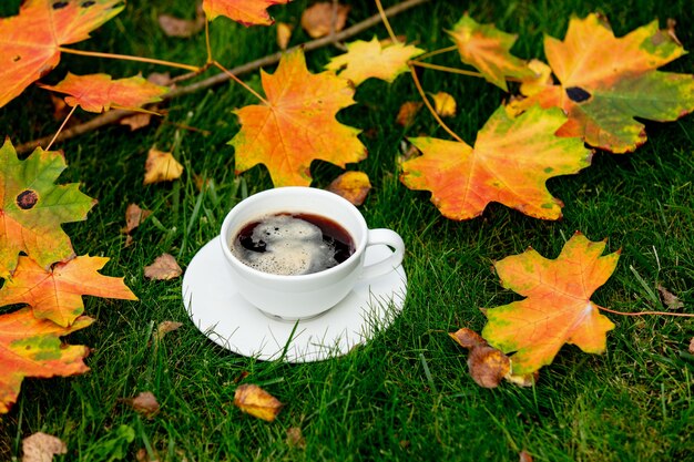 Cup of coffee and maple leaves on a green grass in a garden