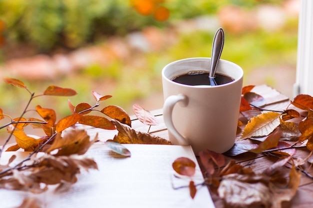 A Cup of coffee near a book in autumn leaves