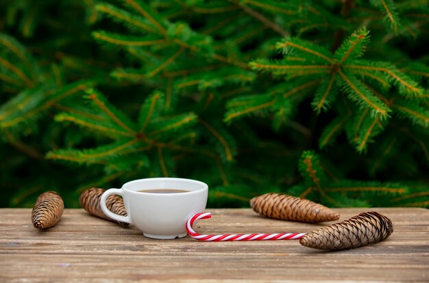 Cup of coffee and pine cones on wooden table with spruce branches on background