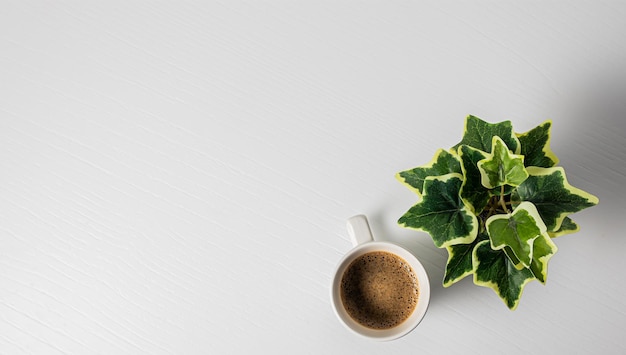 a cup of coffee and a plant on a white table