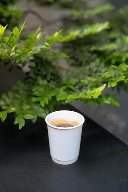 A cup of coffee sits on a table in front of a plant.