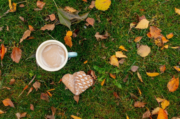 Cup of coffee with heart shape cookies on green grass