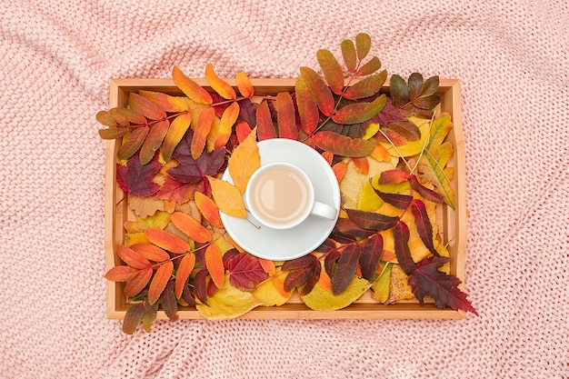 Cup of coffee with milk and colorful leaves on wood tray on pink pastel knitted plaid 