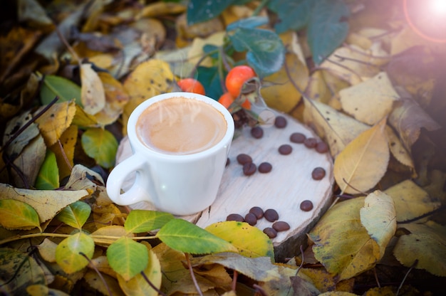 日光の下で黄色の落ち葉の中でコーヒー1杯、