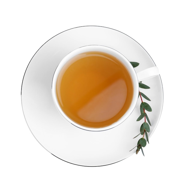 Cup of green tea with eucalyptus leaves on white background top view