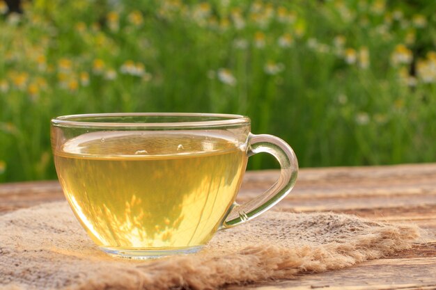 Cup of green tea with white chamomile flowers on wooden boards with green natural background.