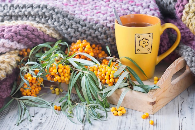 Cup of herbal tea, sea-buckthorn and knitted blanket on the wooden background, toned.