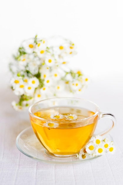 Чашка травяного чая с цветами ромашки