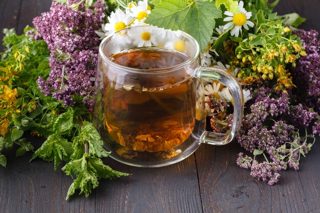 Cup of herbal tea with fresh herbs