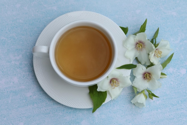 cup of herbal tea with jasmine flowers on blue background