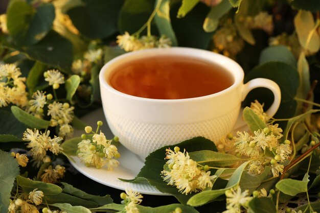 cup of herbal tea with linden blossom