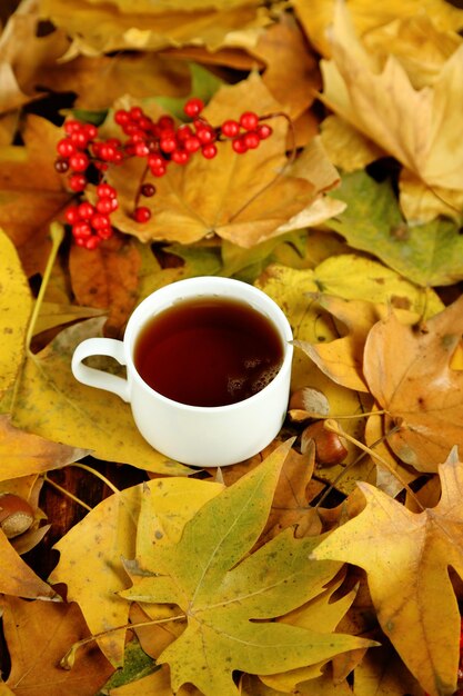 Cup of hot beverage on yellow leaves background