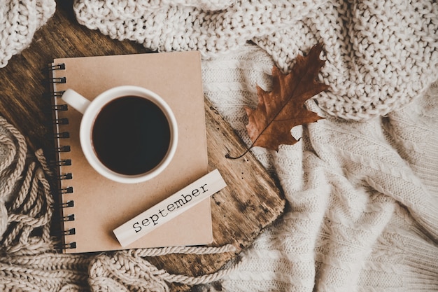 Cup of hot drink on notebook, knitting clothes