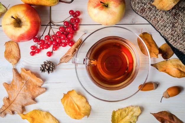 Cup of hot tea and autumn leaves and fruits on wooden white surface. Warm jacket, cones, acorns, berries.