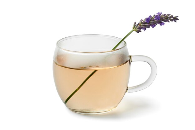 Cup of lavender tea on white background