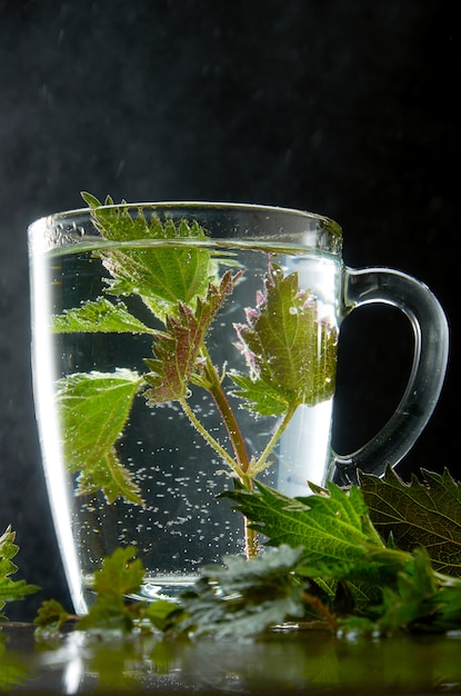 Cup of medicinal nettle tea with nettle leaves and water dust on black