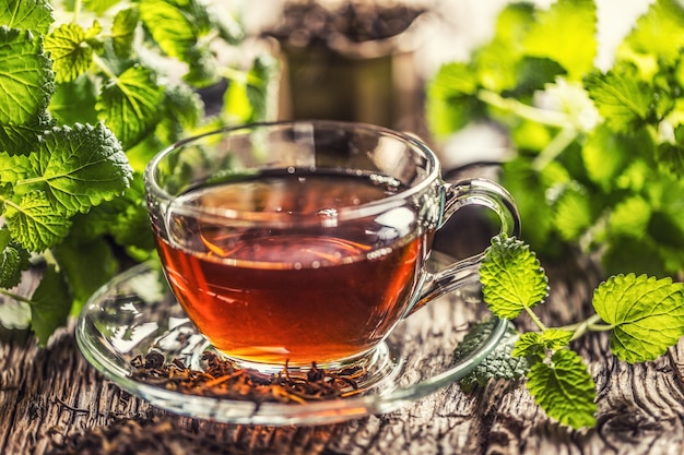 A cup of melissa tea with herbs on wooden table.