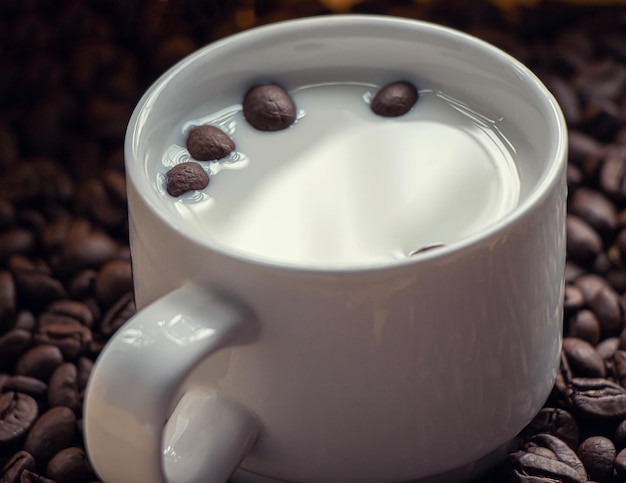 Cup of milk surrounded by roasted coffee beans