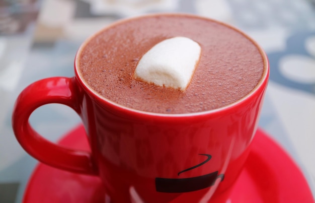 Cup of Mouthwatering Hot Chocolate with a Marshmallow Candy