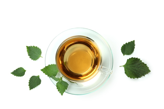 Cup of nettle tea and ingredients on white background