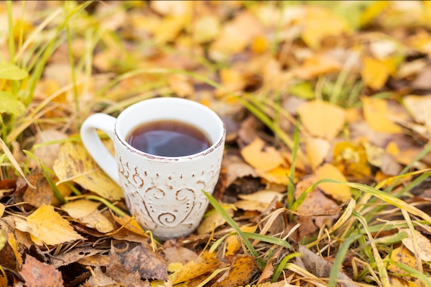 写真 黄色の葉にお茶を一杯。秋の森の中を歩く太陽のフレア-画像