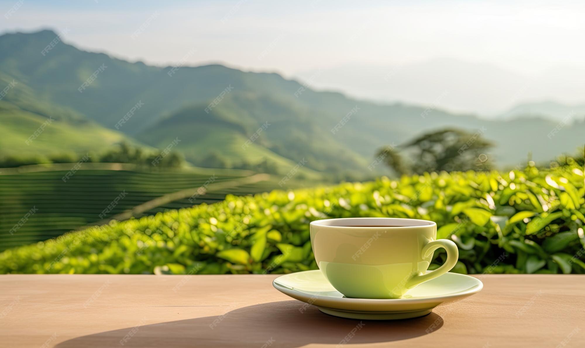 Premium AI Image A Cup And Saucer On A Table With A View Of A Tea premium-ai-image-a-cup-and-saucer-on-a-table-with-a-view-of-a-tea