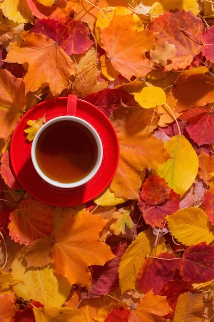 秋の葉の背景にお茶のカップ