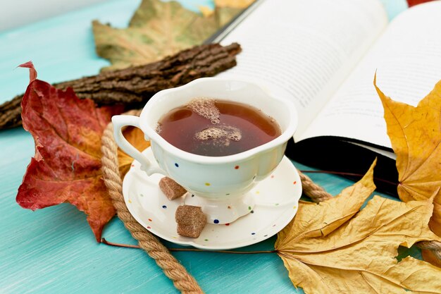 Cup of tea next to the book in the autumn leavesEducation and comfort