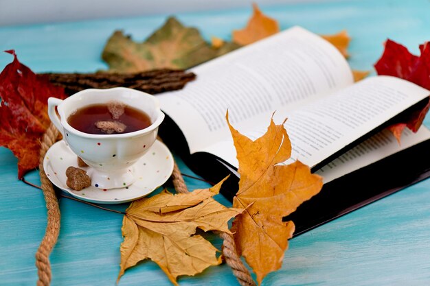 Cup of tea next to the book in the autumn leavesEducation and comfort