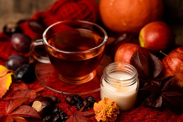 Cup of tea candle autumn fruits on the table autumn evening mood