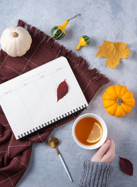 Photo cup of tea in hand, daily planner, plaid and some decorative pumpkins and leaves on blue