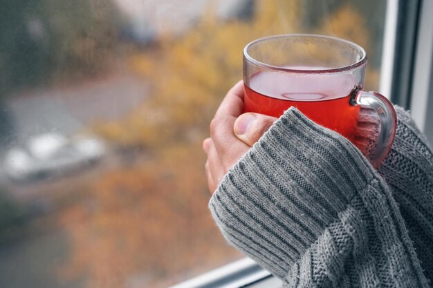 Photo a cup of tea in hands near the window on an autumn day