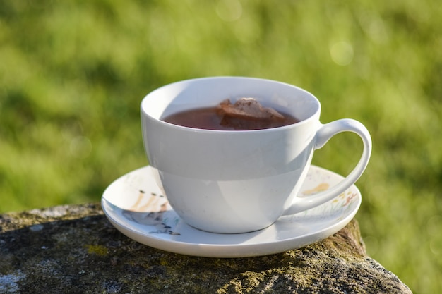 石の上に置かれた朝のお茶のカップ