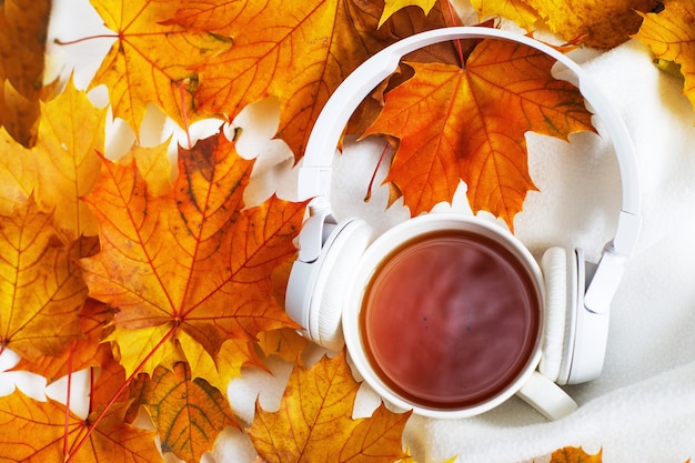 a Cup of tea with autumn leaves and headphones on a knitted white plaid background