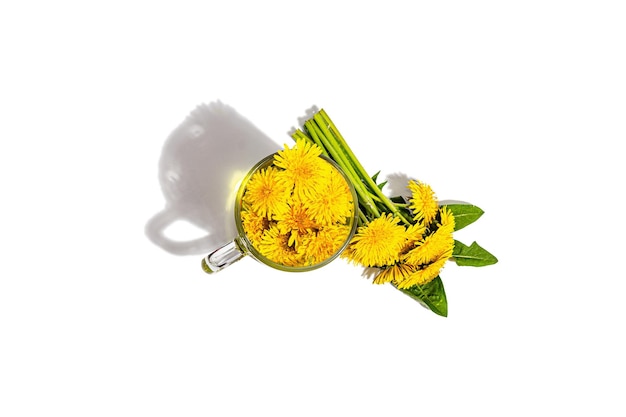 Cup of tea with dandelion flowers isolated on a white background Breakfast springtime concept