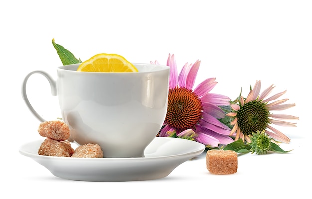 Cup of tea with lemon and echinacea flowers