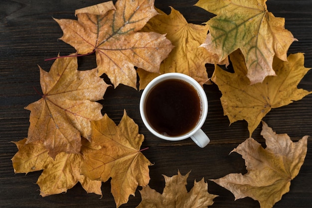 秋の紅葉の中で熱いお茶の周りに黄色の紅葉と木製のテーブルにお茶のカップ