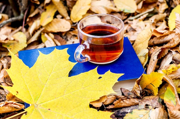 Una tazza di tè e una foglia d'acero gialla su un libro nella foresta di autunno. leggere libri nella natura