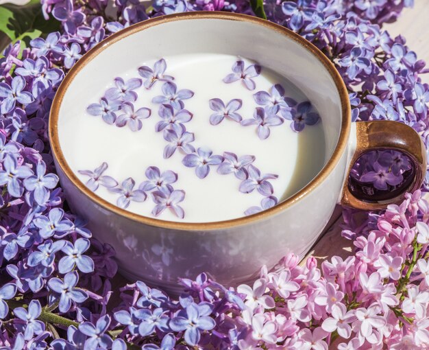 Photo cup with milk and small purple lilac flowers