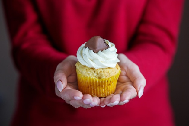 Cupcake met vanilleroom en suikergoed Concept voor de verjaardag van de de bakkerijviering van voedseldesserts