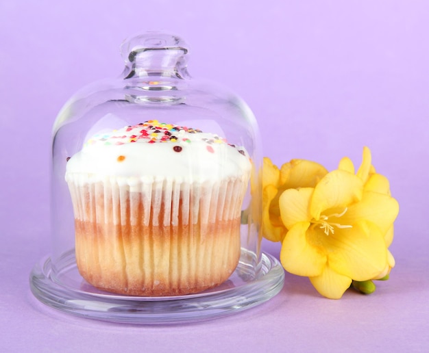 Cupcake op schotel met glazen deksel op gekleurde achtergrond