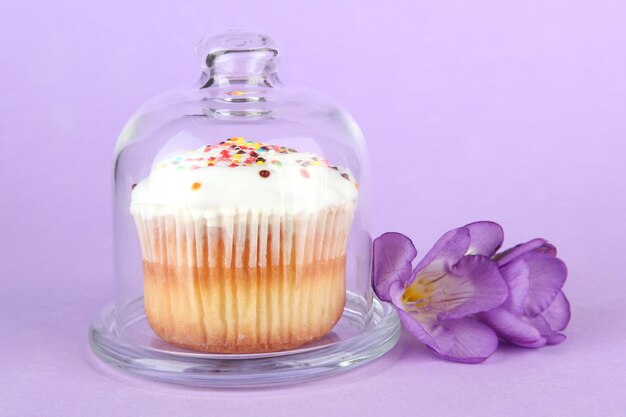 Cupcake on saucer with glass cover on color background