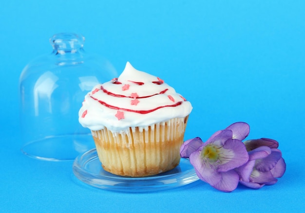 Cupcake on saucer with glass cover on color background