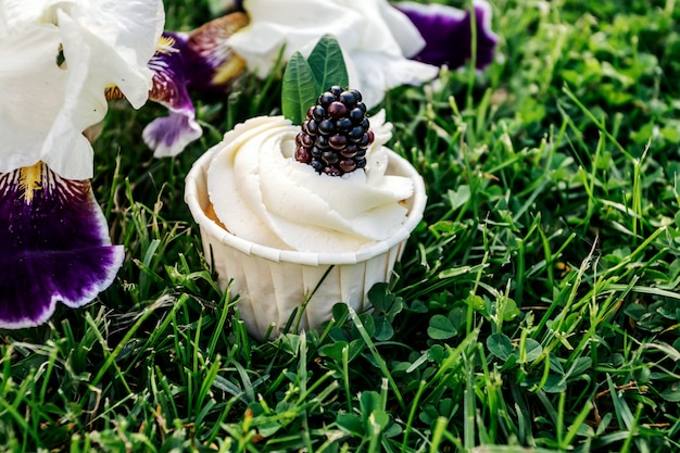 Cupcakes con panna montata e mora su erba verde.