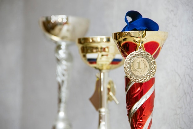 Cups and awards on the shelf. The prize is a trophy for the winner of the exhibition on the shelf.