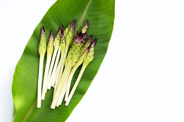 Curcuma sessilis flower on green leaf on white background.