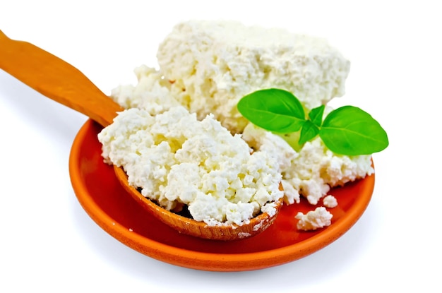 Curd in a wooden spoon and a clay plate