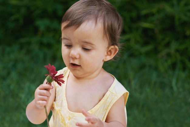 自然に興味がある花を見ている甘い女の赤ちゃん