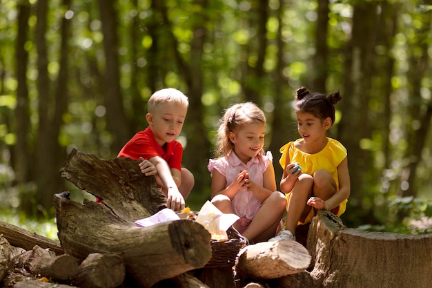 curious children participating in a treasure hunt in the forest